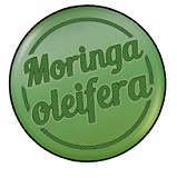 201501 Moringa2