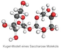 Kugel-Modell eines Saccharose Moleküls