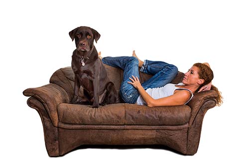 Fotolia 46550656 Frau mit Hund auf Sofa